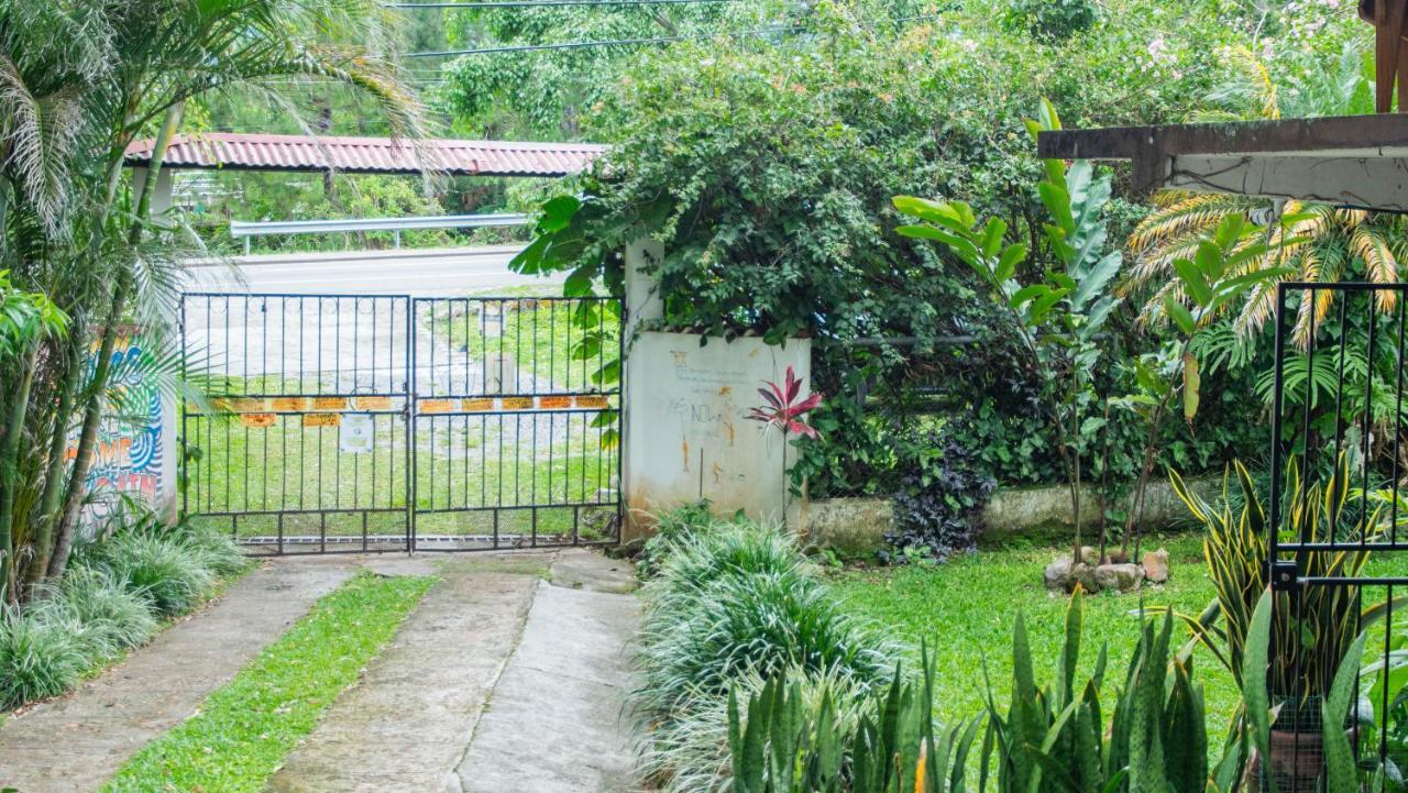 La Jungla Experience Lodgings - Vacation Home And Apartment Бокете Экстерьер фото