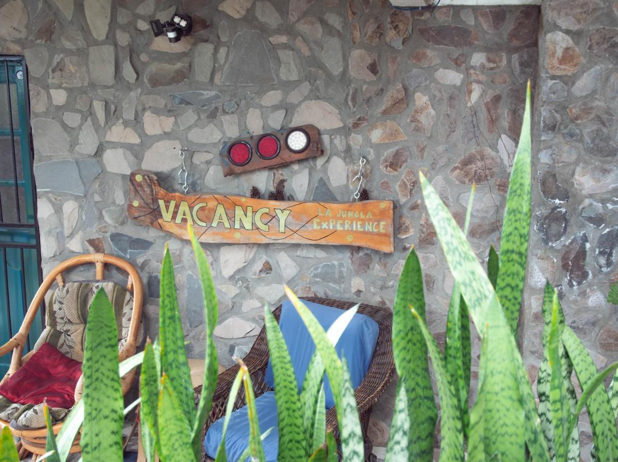 La Jungla Experience Lodgings - Vacation Home And Apartment Бокете Экстерьер фото